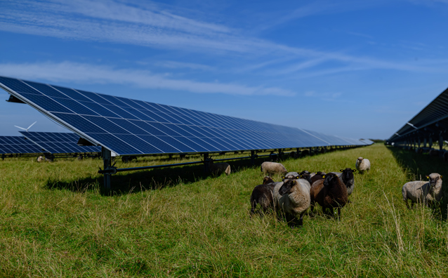 L’agrivoltaïsme : l’alliance de l’agriculture et de l’énergie